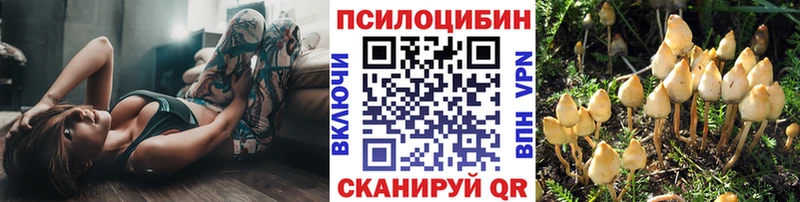 Галлюциногенные грибы ЛСД  Купить где  Нурлат 